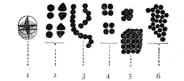 Fig. 83.—Types of bacteria—cocci: 1, Diagram of sphere
indicating planes of fission; 2, diplococci; 3, streptococci; 4,
tetrads; 5, sarcinæ; 6, staphylococci.