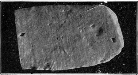 Fig. 19. Curd from a good milk. The large irregular holes
are mechanical.