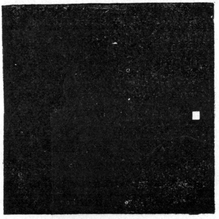 Fig. 26. Effect of pasteurizing on germ content of milk.
Black square represents bacteria of raw milk; small white square, those
remaining after pasteurization.