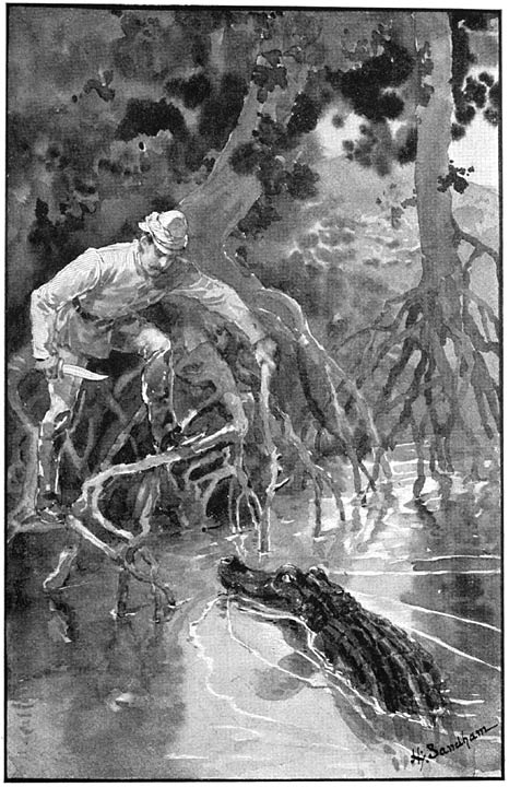 A crocodile hunt on the maur