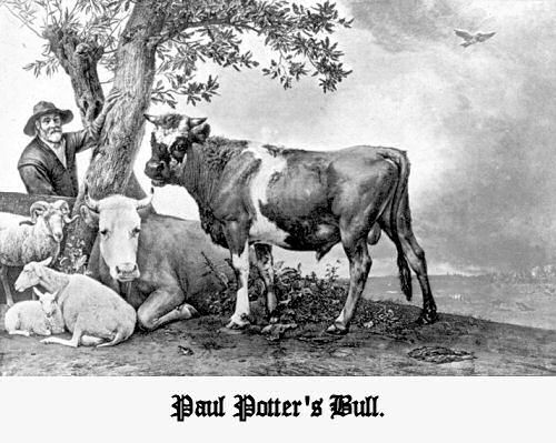 Paul Potter's Bull.