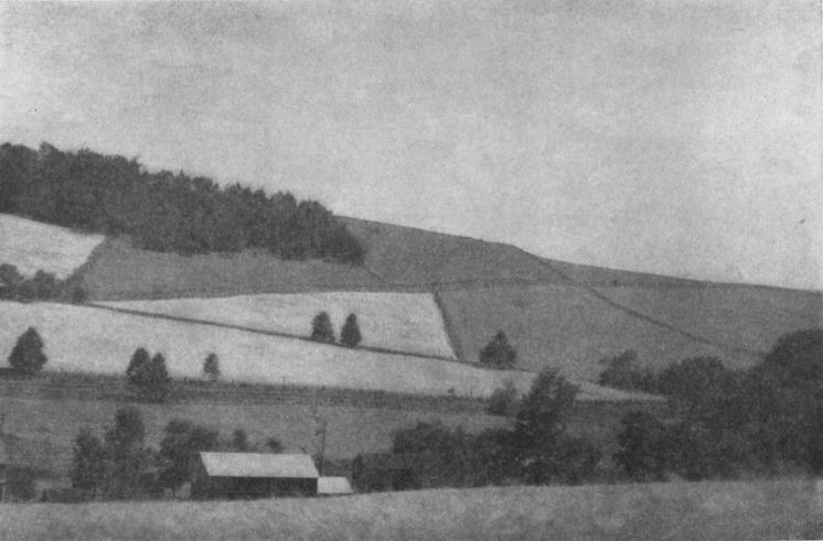 SOLITUDEBy W. R. Latimer, High Bridge, N. J. SOLITUDE, By W. R. Latimer, High Bridge, N. J.