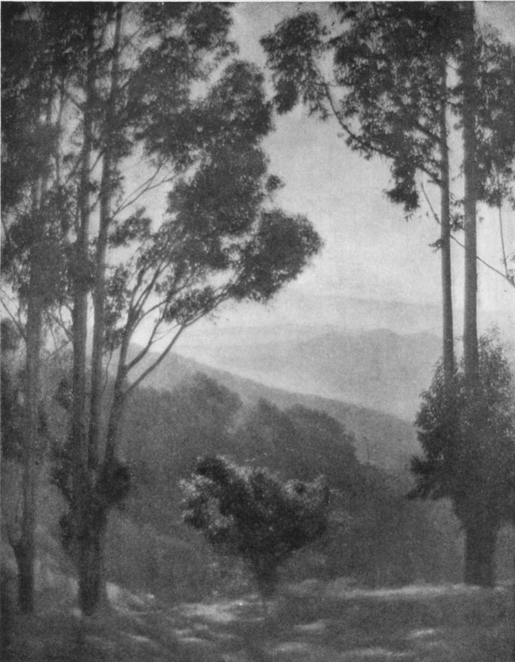 DESIGN FOR A TAPESTRYBy John Paul Edwards, Sacramento, Cal. DESIGN FOR A TAPESTRY, By John Paul Edwards, Sacramento, Cal.