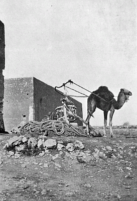 A BLINDFOLDED CAMEL WORKING A WATER-WHEEL.