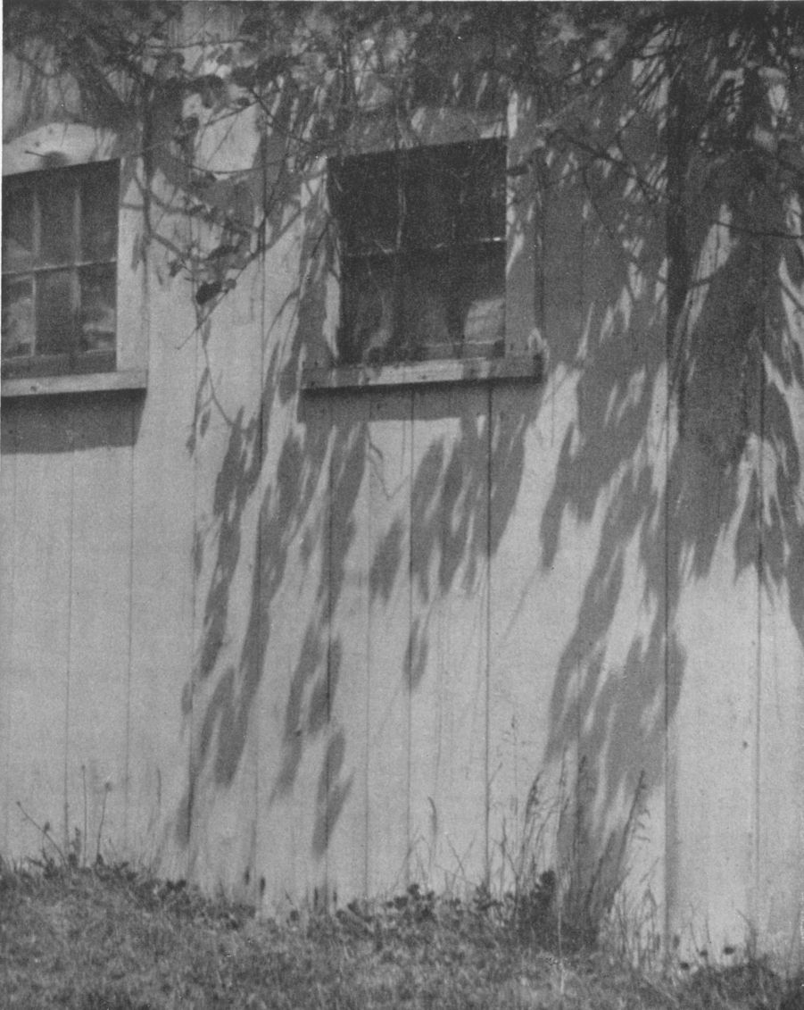THE PATTERNED WALL, By Mildred Ruth Wilson, Montclair, N. J.