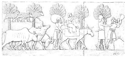 Fig. 31.—Convoy of prisoners. Kouyundjik. From Layard.