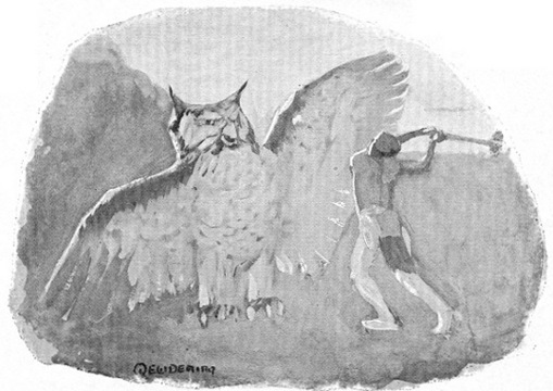 STAR BOY ATTACKED BY HINHAN, THE OWL.

Page 215