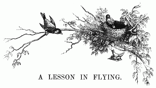A Lesson in Flying