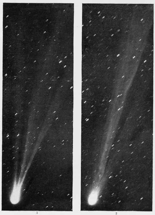 Photographs of Swift's Comet.