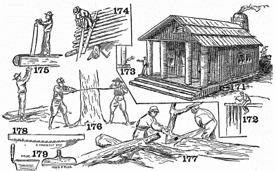 The use of the saw in log work.