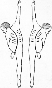 Fig. 230.—Diagram of attitudes in Klapp's four-footed
exercises for Scoliosis.