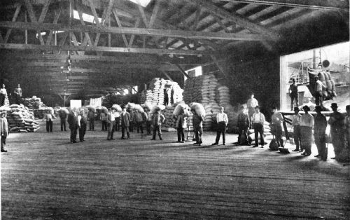 Unloading Coffee at One of the Covered Piers of the New York Dock Company