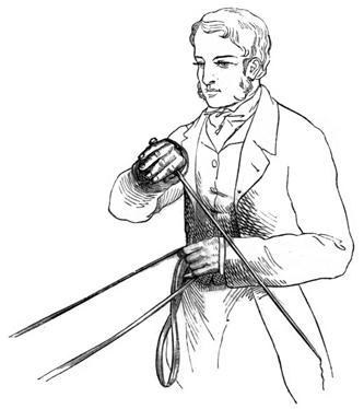 Man with reins in left hand and whip reaching over to the left side
