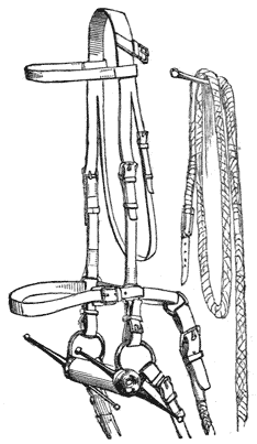 Bridle with thick straight bit with cheekpieces