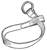 Strap forming loop, with ring on one end