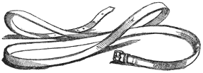 Drawing of surcingle