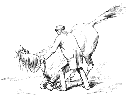 Horse kneeling with its head facing away from the man at its side
