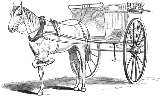 Horse with left foreleg strapped up, harnessed to a two-wheeled cart