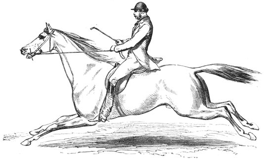 Mounted horse, stretched out at the gallop