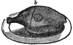 Drawing of a ham on a plate