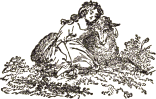 girl resting with sheep