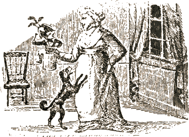 woman with small husband and dog