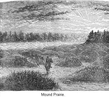 Mound Prairie.