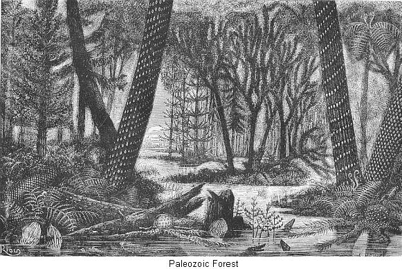 Paleozoic Forest