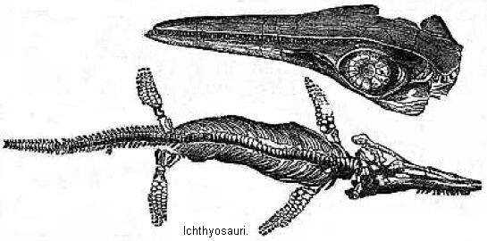 Ichthyosauri