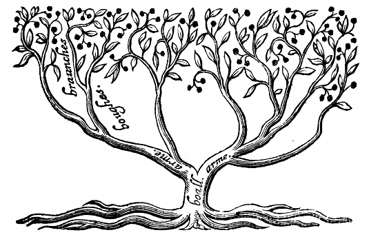 Diagram of a fruit tree