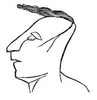 Drawing of a head from Maya art