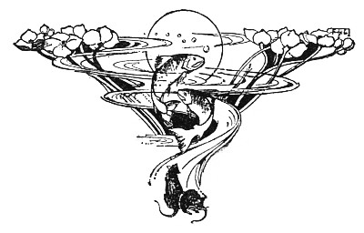 Decoration Decoration