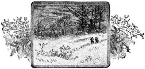 Children in a snowy field