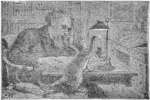 Dickens and his cat