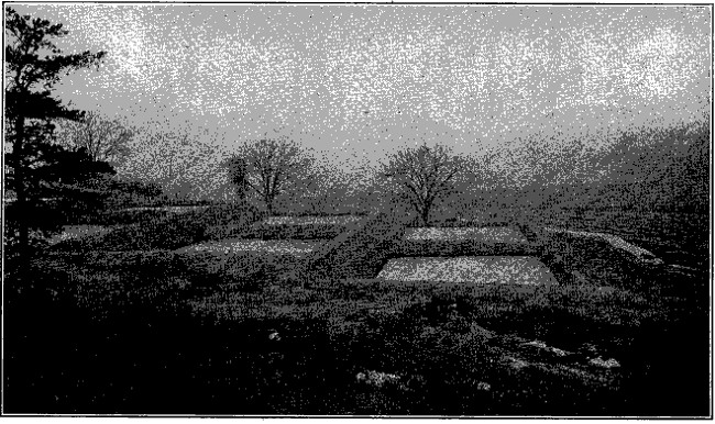 Fig. 67.—Sewage beds.