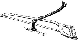 Fig. 8. Cutting off the trunk.