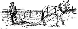 Fig. 14. A "go-devil" for collecting prunings.