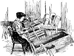 Fig. 46. Packing grapes on a packing-table.