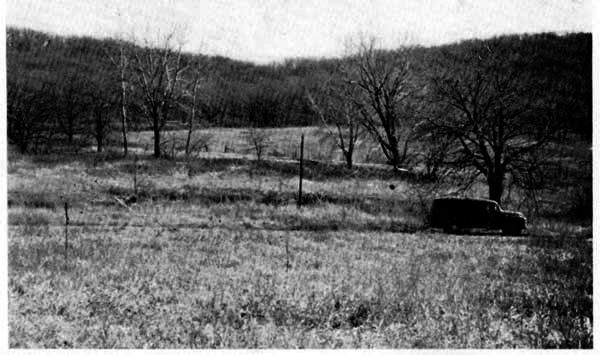 "Picnic Field" showing condition of the vegetation on December 3, 1954.