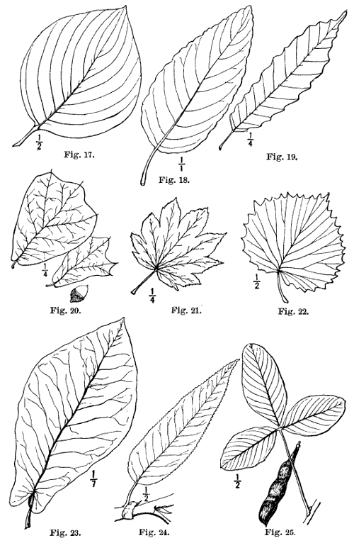 Fig. 17-25.