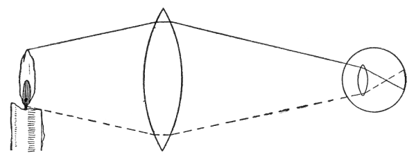 Fig. 82.