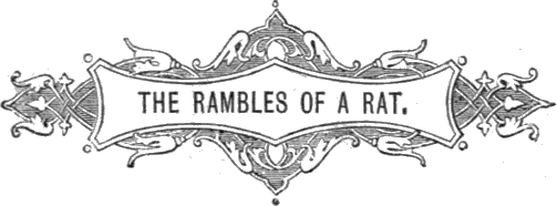 THE RAMBLES OF A RAT.