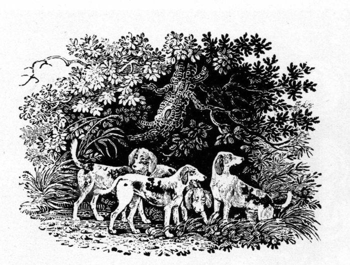 Figure 11.—Tailpiece by Thomas
Bewick (actual size), engraved after a
drawing by John Bewick, from The
Chase, by William Somervile, 1796.
(Photo courtesy the Library of Congress.)