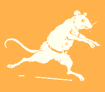 running mouse from endpaper
