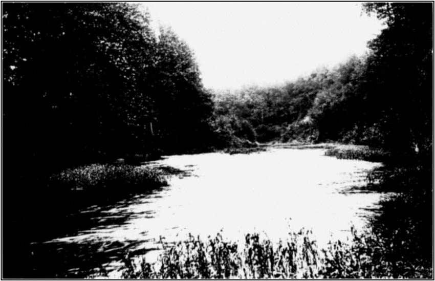 Smith Pine Creek in Warren County, Indiana