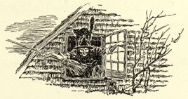 Drawing of a witch witch, with a black cat on top of her hat, holding a broom, climbing out a window
