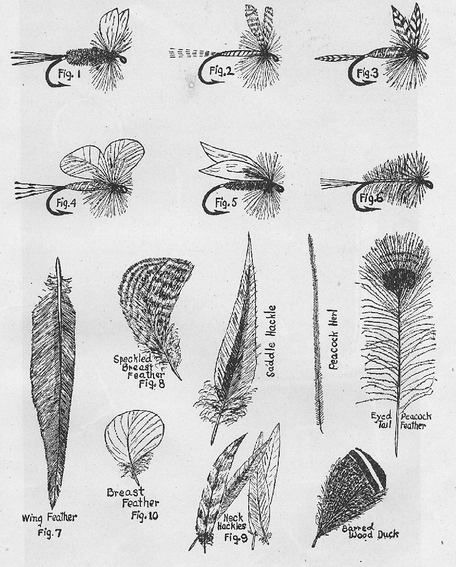 Diagram 2. Page sized drawings of wet flies and feathers.