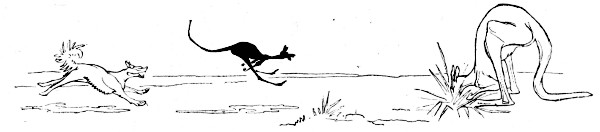 THE WICKED DINGO DOG; OR,