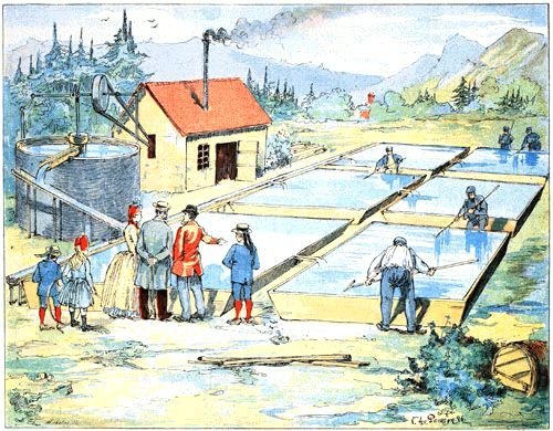 Les Salines Les Salines