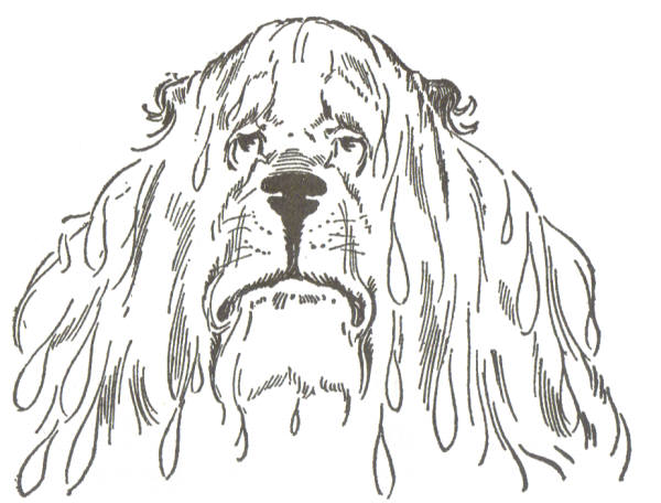 The Cowardly Lion fell in way upstream